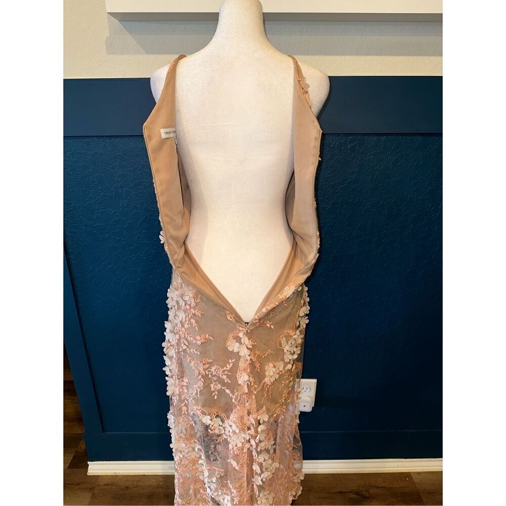 Dress the Population Floral Embroidered Maxi Dress in Blush - Picture 8 of 11